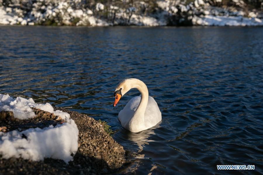 Snow scenery of Lake Beletst in Athens, Greece