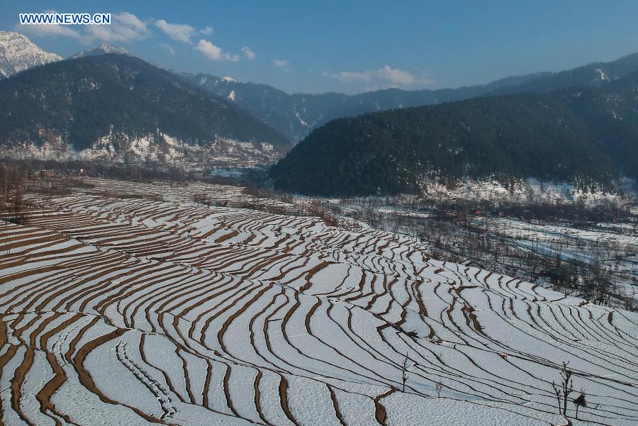 View of snow-covered fields at village in Anantnag