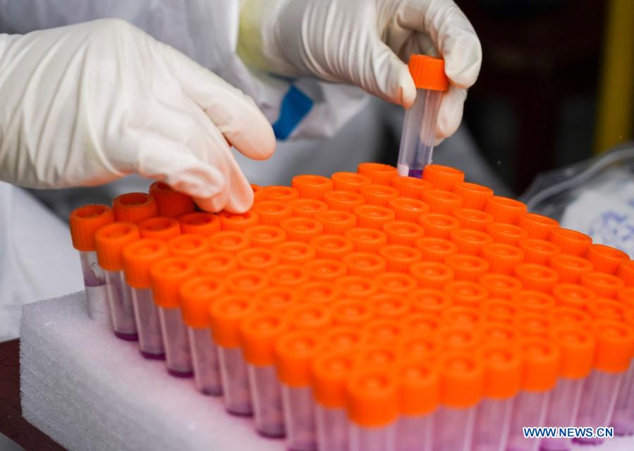 Tonghua launches second round of citywide nucleic acid testing