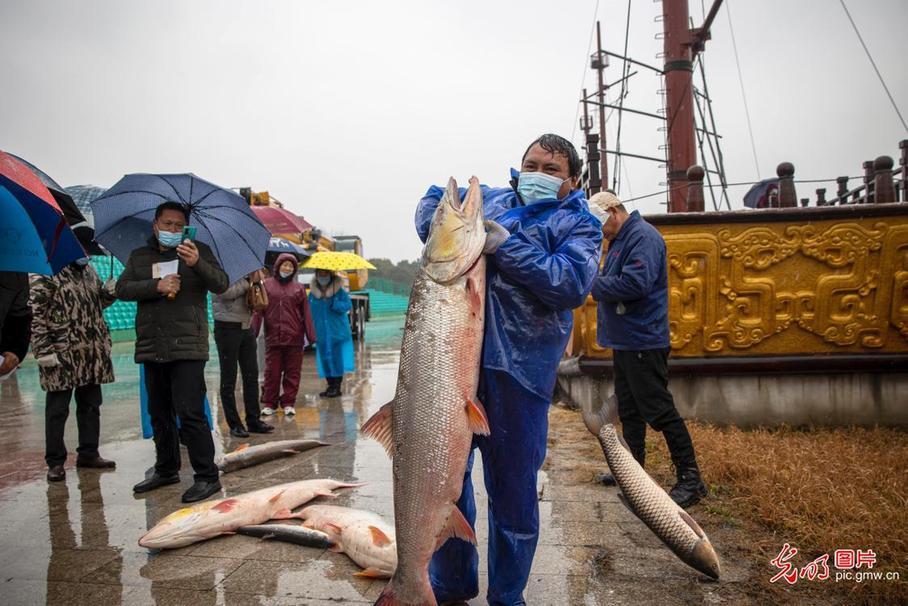 Fishermen busy in winter fishing in E China’s Jiangsu