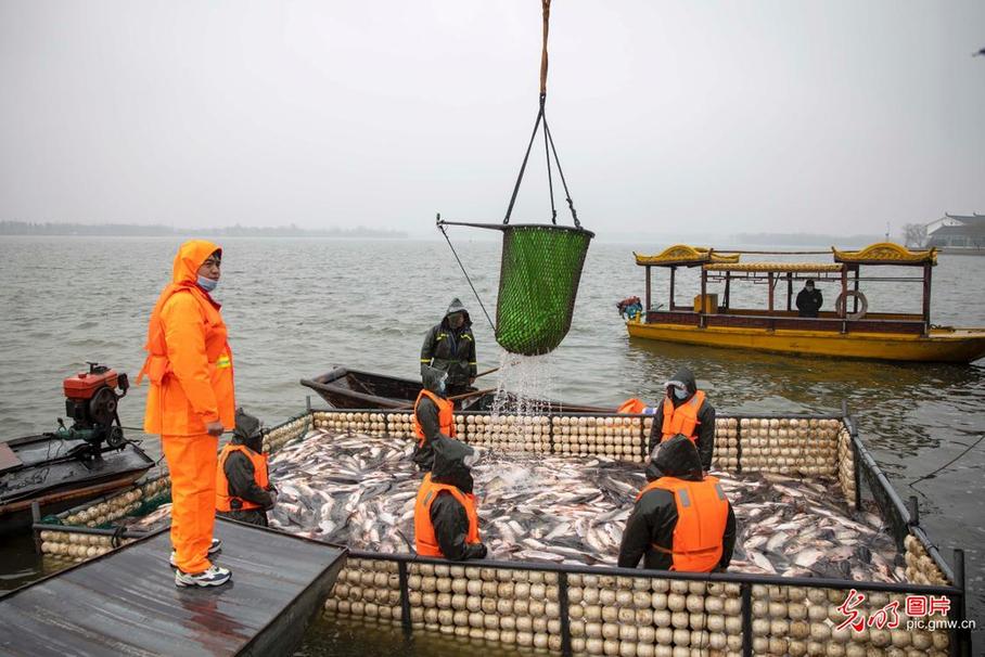 Fishermen busy in winter fishing in E China’s Jiangsu