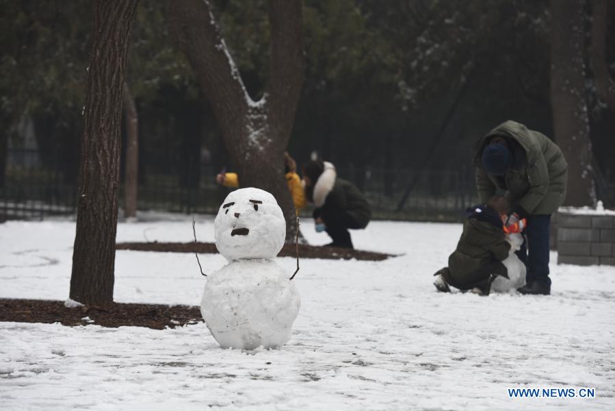 Snowfall in Beijing