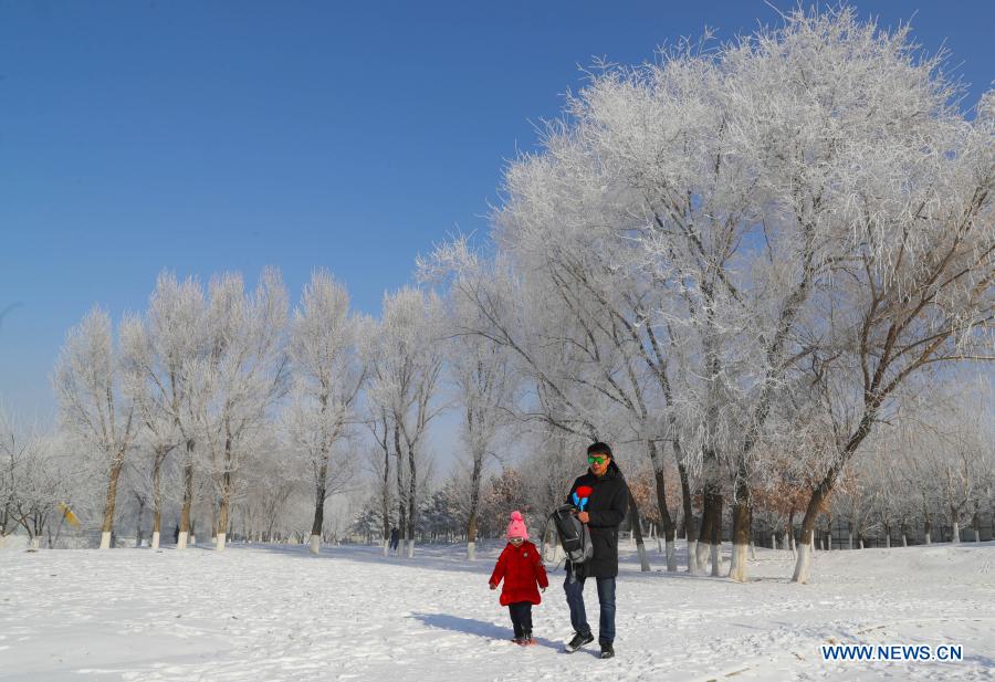 Rime scenery along Hunhe River in NE China