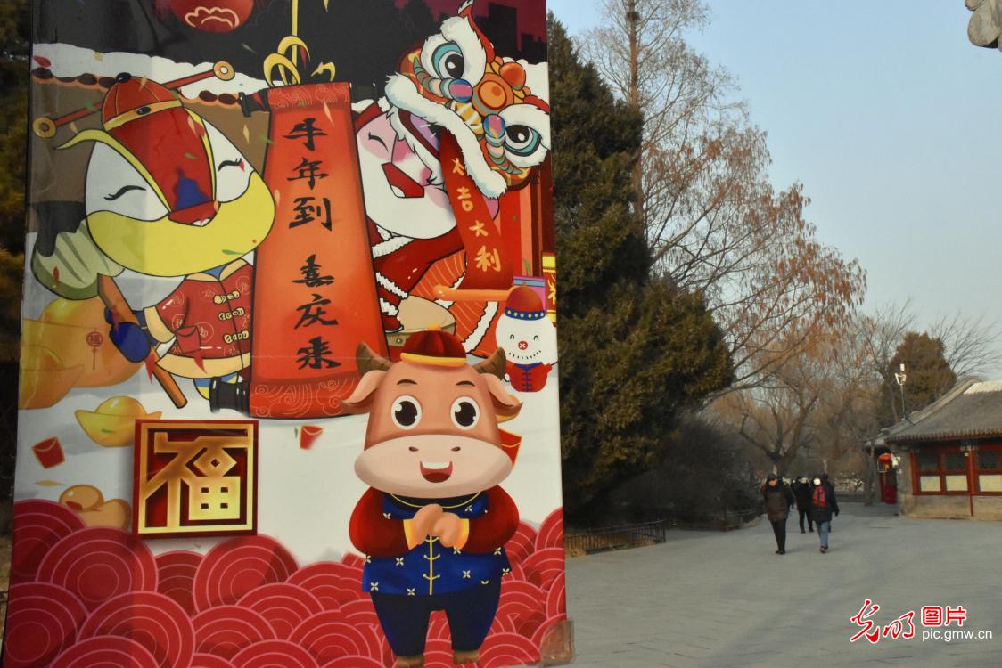 Beihai park delicately decorated for Chinese New Year Beihai park delicately decorated for Chinese New Year