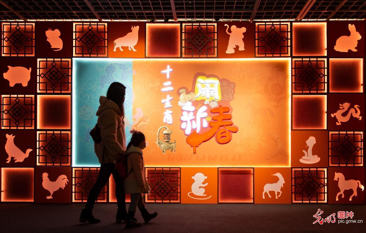 南京博物院举办“十二生肖闹新春”专题文物展