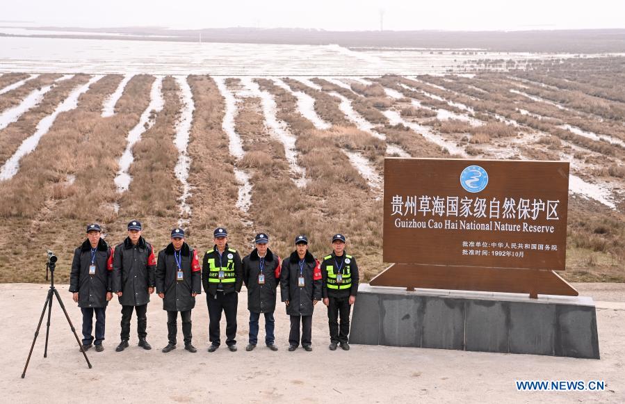 Caohai National Nature Reserve becomes major winter base for migratory birds