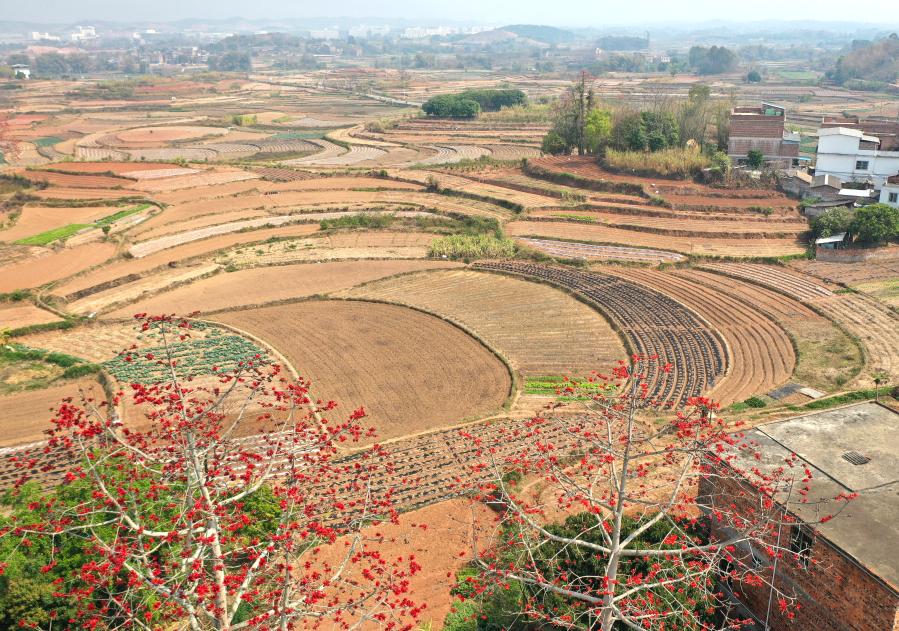 Farmers busy with farm work across China