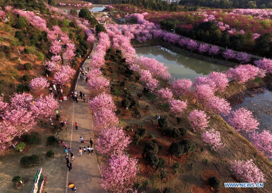 Scenery of spring flowers across China