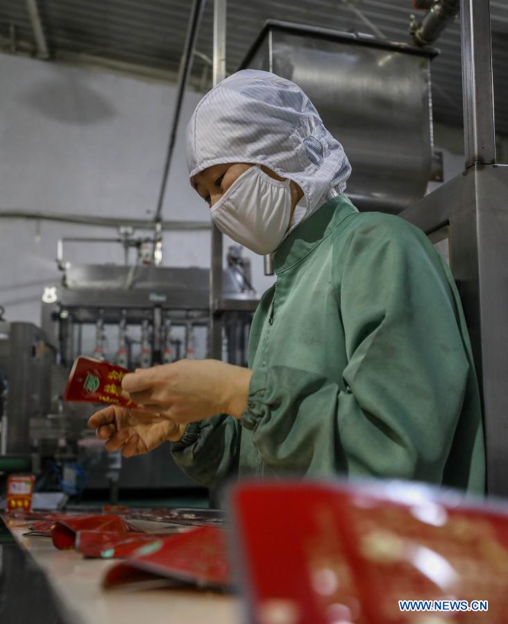 Companies start busy production after Spring Festival in Ulan Hot