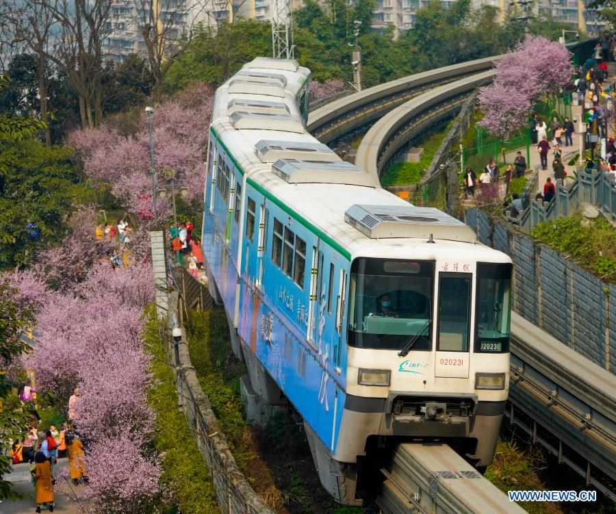 Monorail train runs past blooming flowers at Chongqing metro line 2