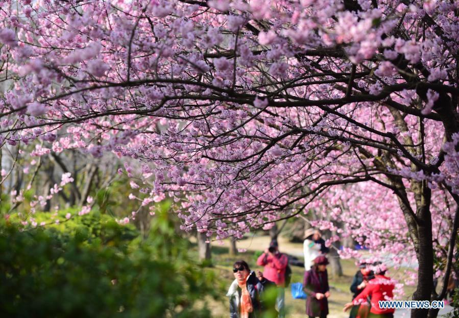 Spring scenery in east, southwest China