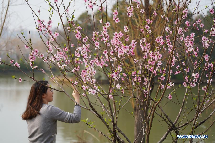 Spring scenery in east, southwest China