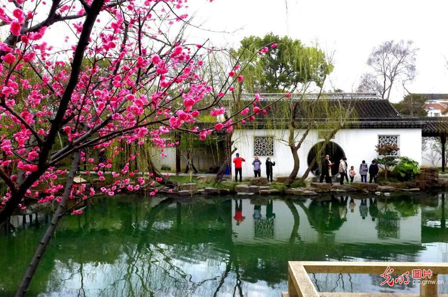 Visitors view plum blossoms in E China’s Suzhou