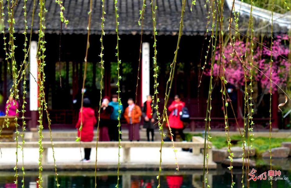 Visitors view plum blossoms in E China’s Suzhou