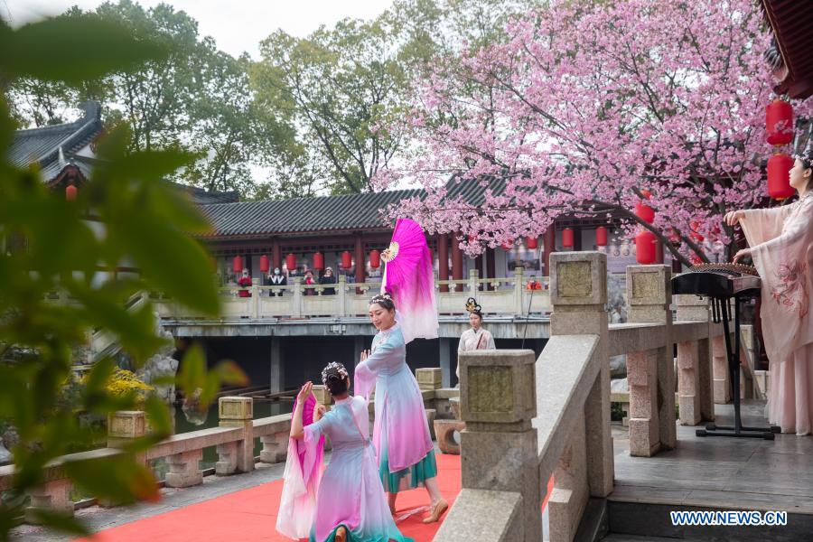 Cheery blossom park in Wuhan opens to public