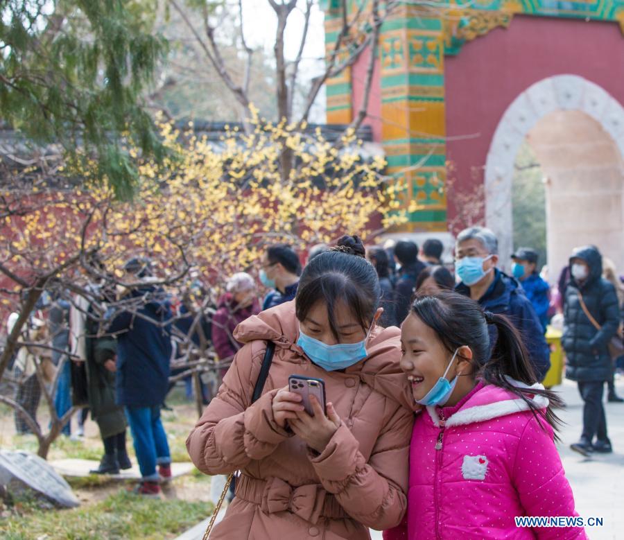 Wintersweet blossoms at Wofo Temple in Beijing