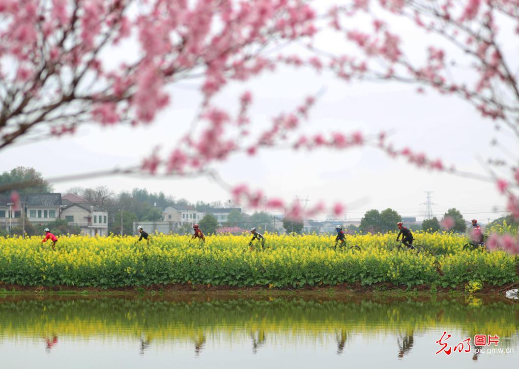 Green path offers a scenic drive for people in C China's Hunan