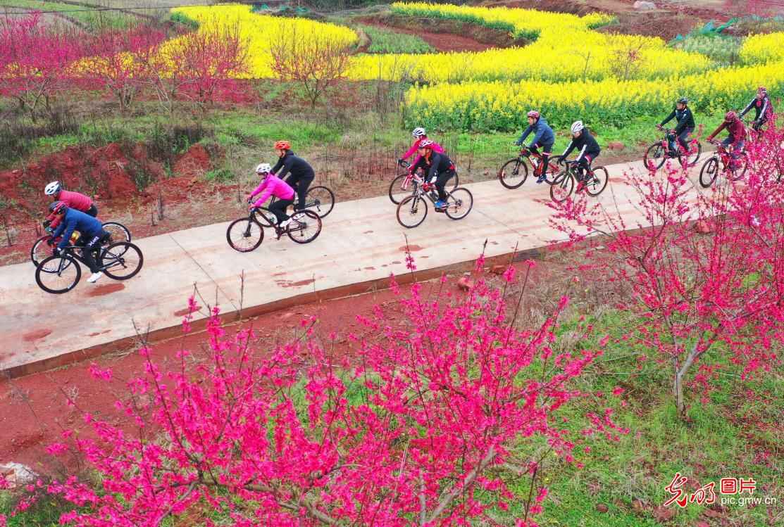 Green path offers a scenic drive for people in C China's Hunan
