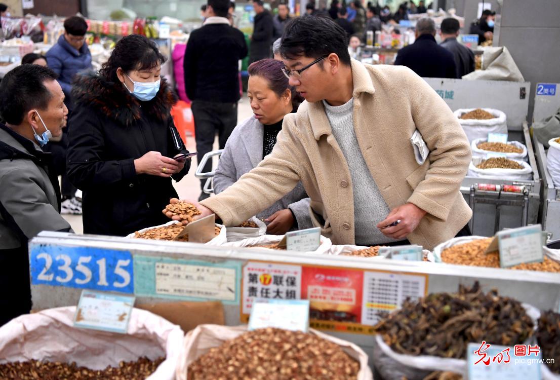 Medical herb market opens in E China's Anhui