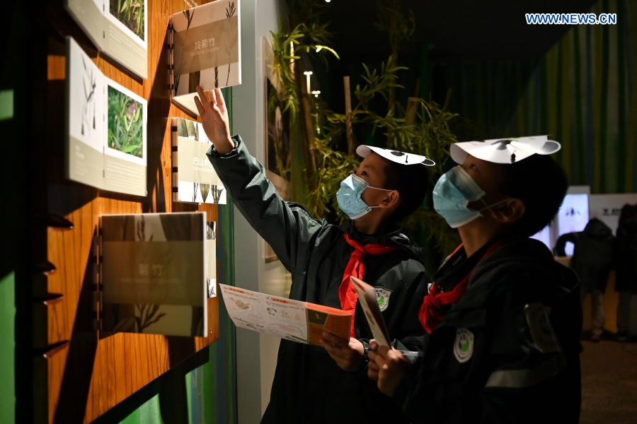 Students visit Chengdu Giant Panda Museum in Chengdu