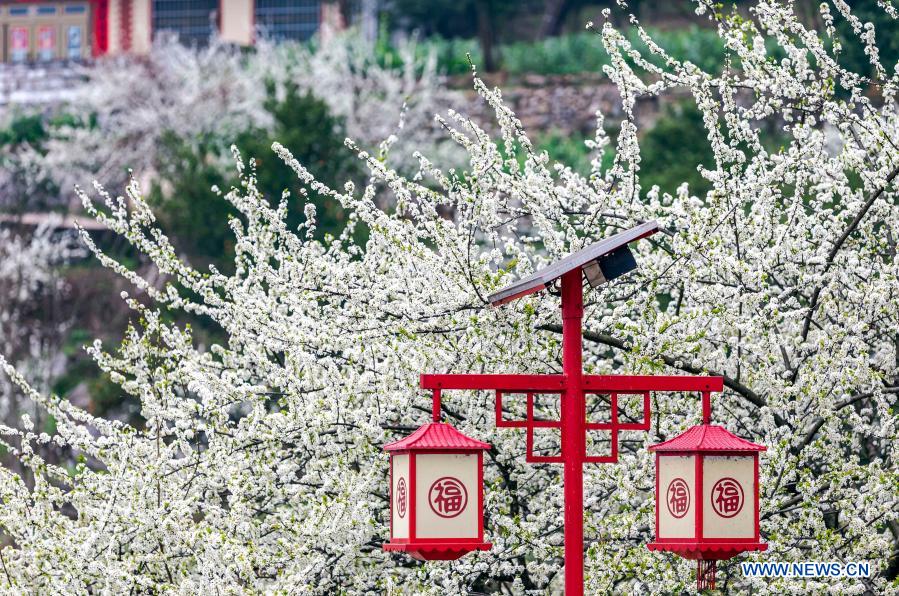 In pics: spring scenery in China
