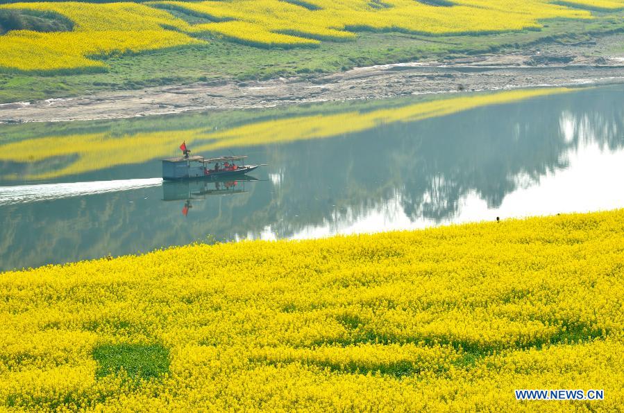 In pics: spring scenery in China