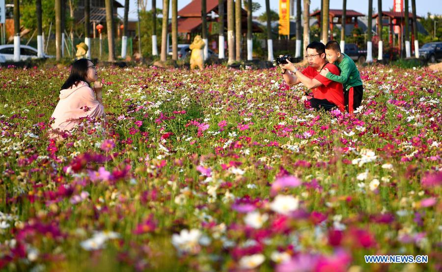 People take photos amid blooming flowers in Haikou, south China's Hainan