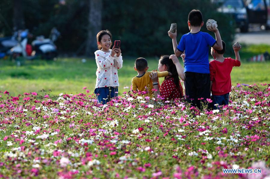 People take photos amid blooming flowers in Haikou, south China's Hainan