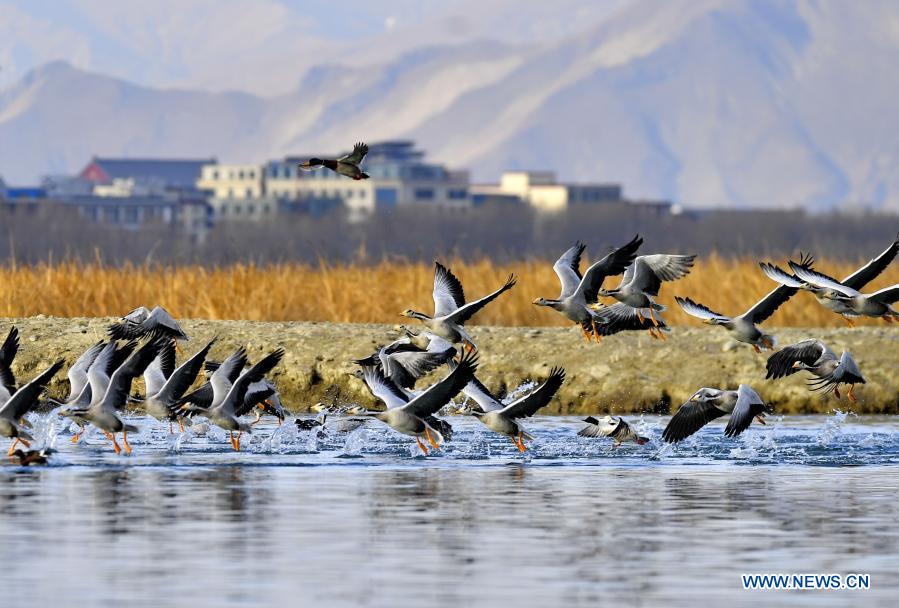 Scenery of beautiful landscapes across China