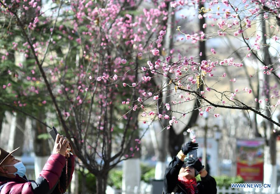 Scenery of beautiful landscapes across China