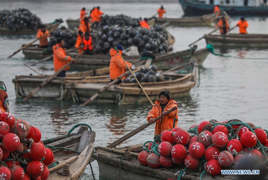 Fishermen row boats to mariculture zone as local aquatic products enter growing season in E China