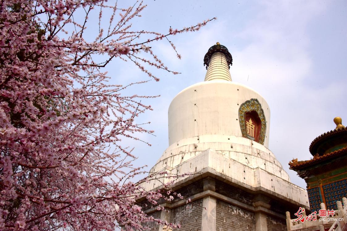 【光明图刊】春暖·花开