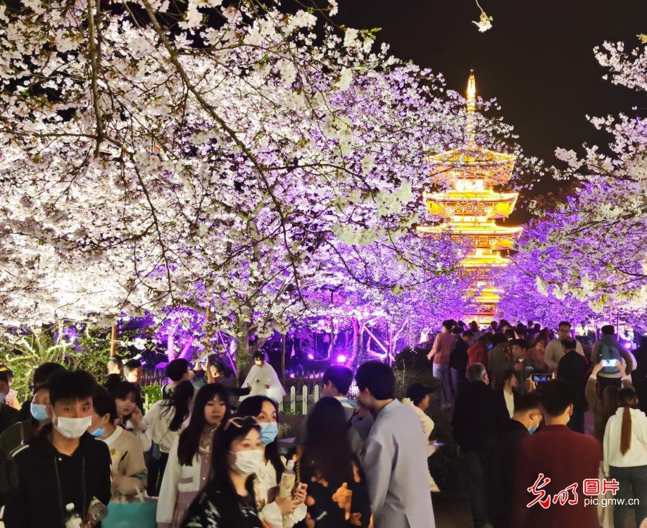 【光明图刊】春暖·花开