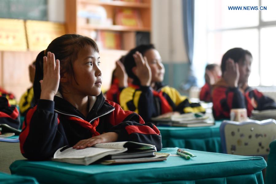 Qinghai increases investment in education