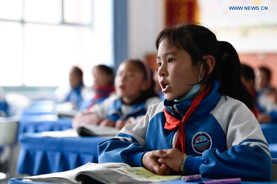 Qinghai increases investment in education