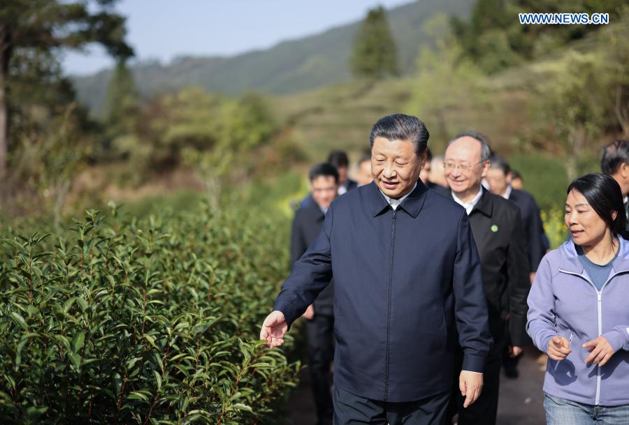 Xi inspects tea farm in east China's Fujian Province