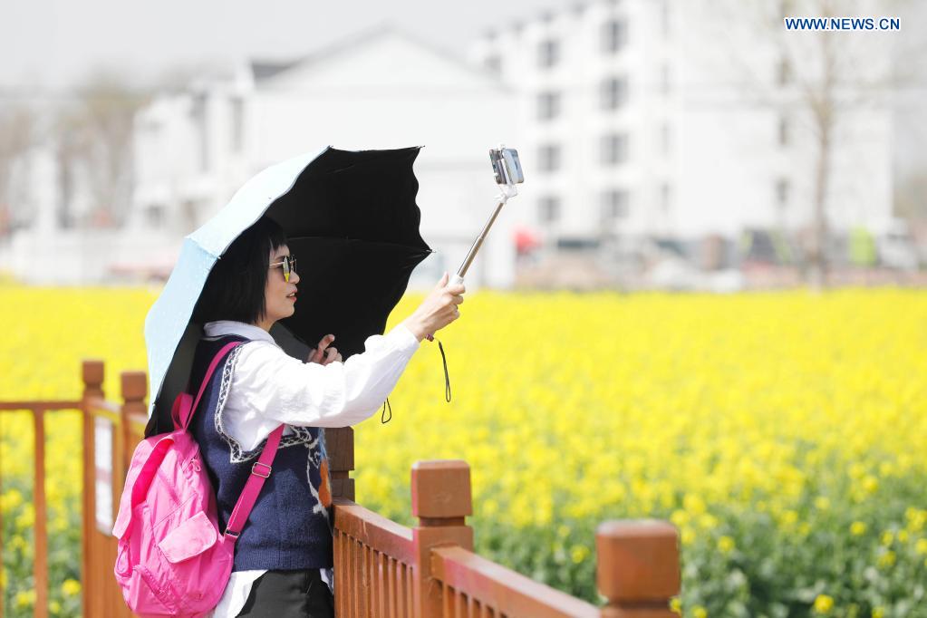 People enjoy view of cole flowers in Henan