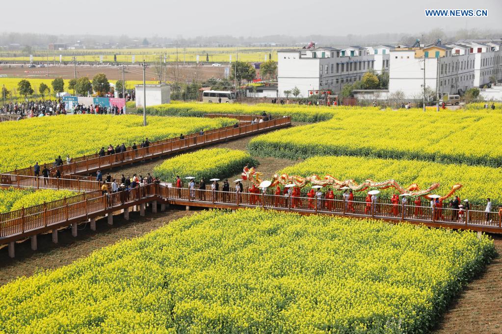 People enjoy view of cole flowers in Henan