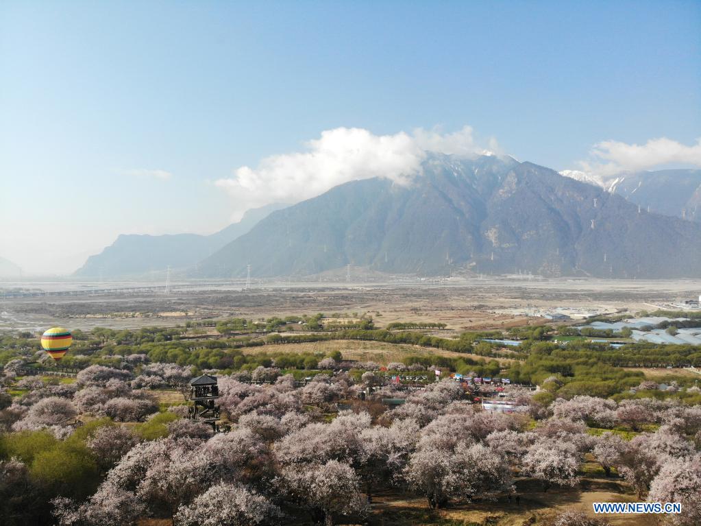 Spring scenery across China