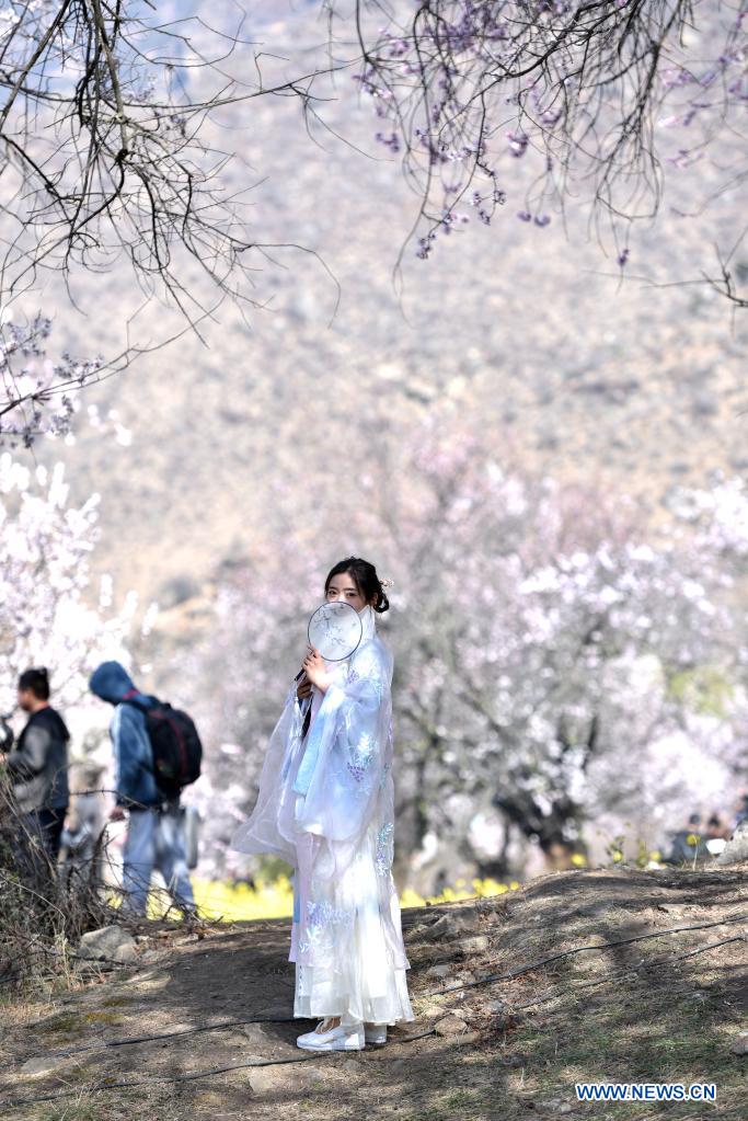 Spring scenery across China