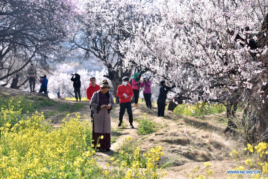 Spring scenery across China