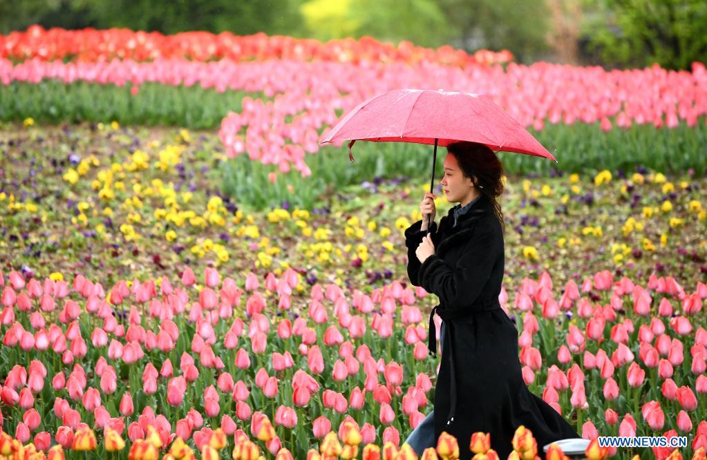 29th spring flower show kicks off at Xi'an Botanical Garden