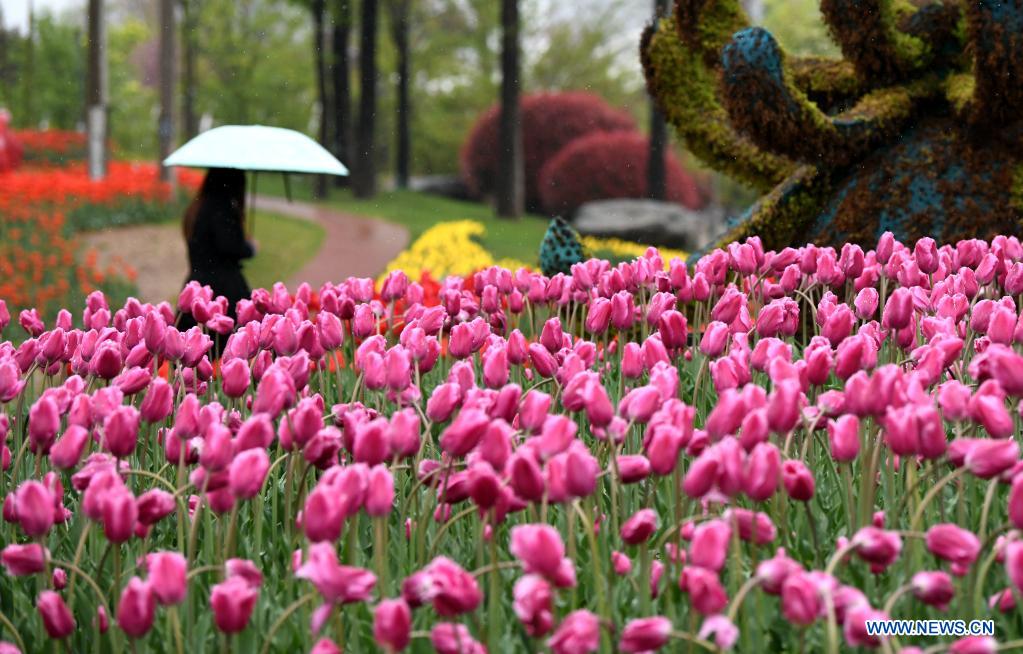 29th spring flower show kicks off at Xi'an Botanical Garden