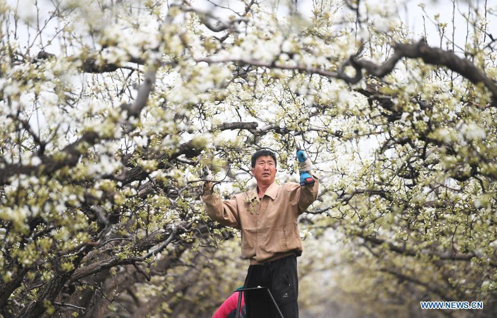 Farming activities in full swing across China