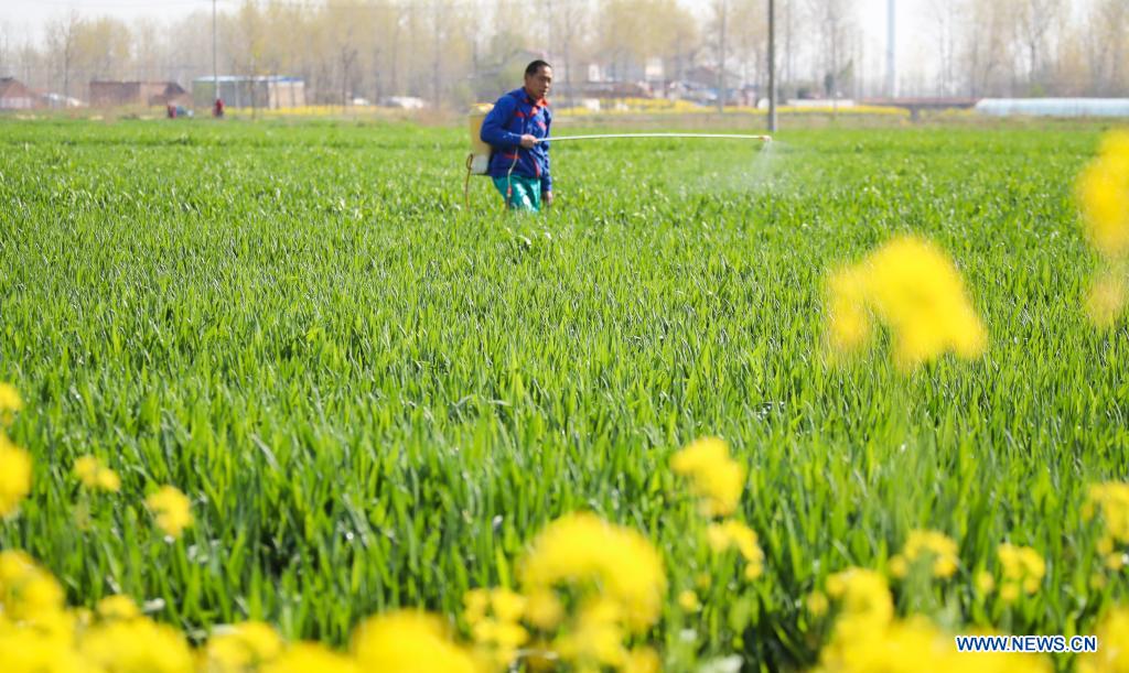 Farming activities in full swing across China