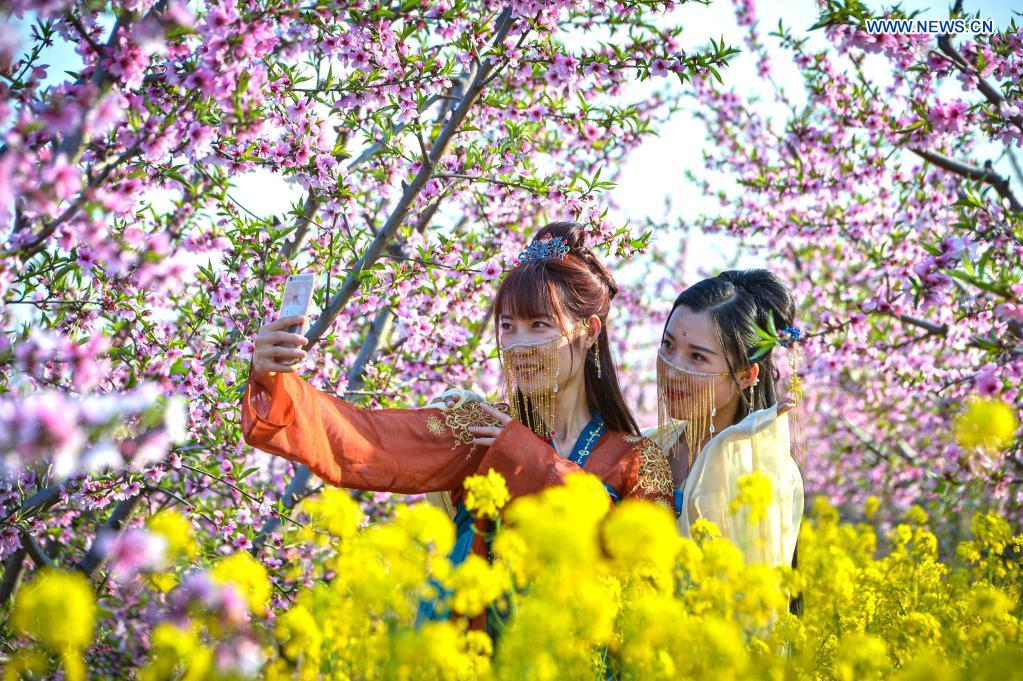 Tourists enjoy flowers at peach garden in Hebei