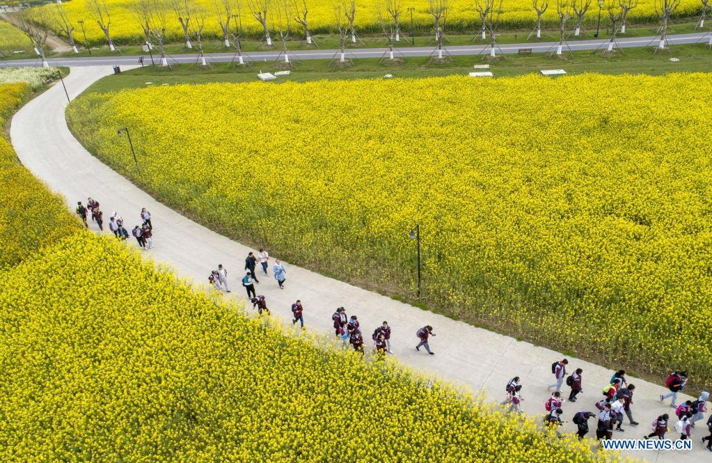 People enjoy flowers across China