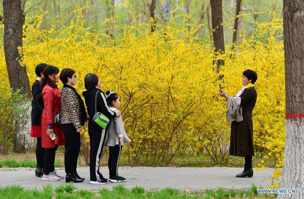 Flowers in full bloom at Huangtaishan Park in Hebei