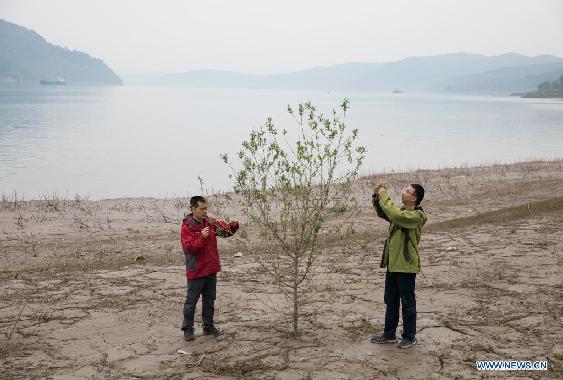 Chinese researchers conduct environment study in Three Gorges Reservoir area