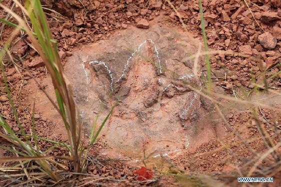 Newly-found dinosaur footprints seen at excavation site in SE China